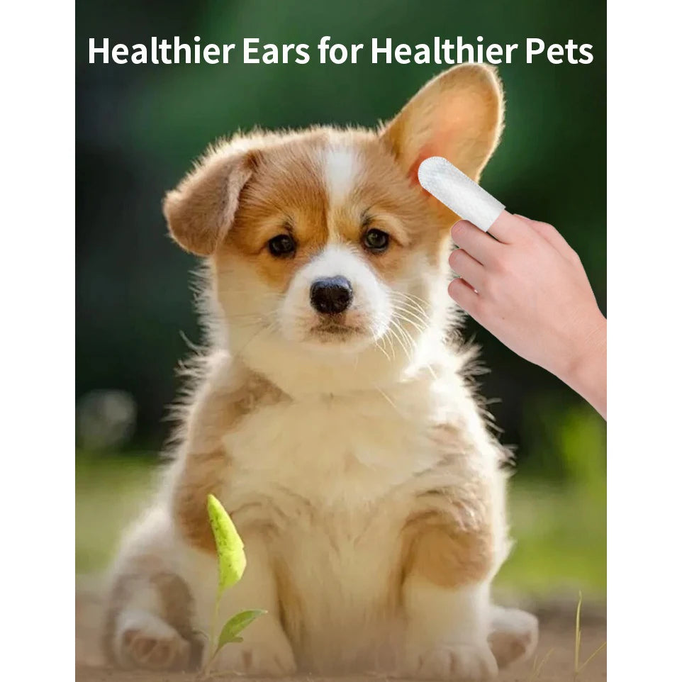 Ear Ease Pet Care Gentle Ear Care Solutions for Dogs &amp; Cats