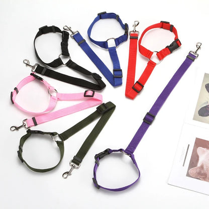 Dual Safe Car Lead Double-Protection Dog Travel Lead