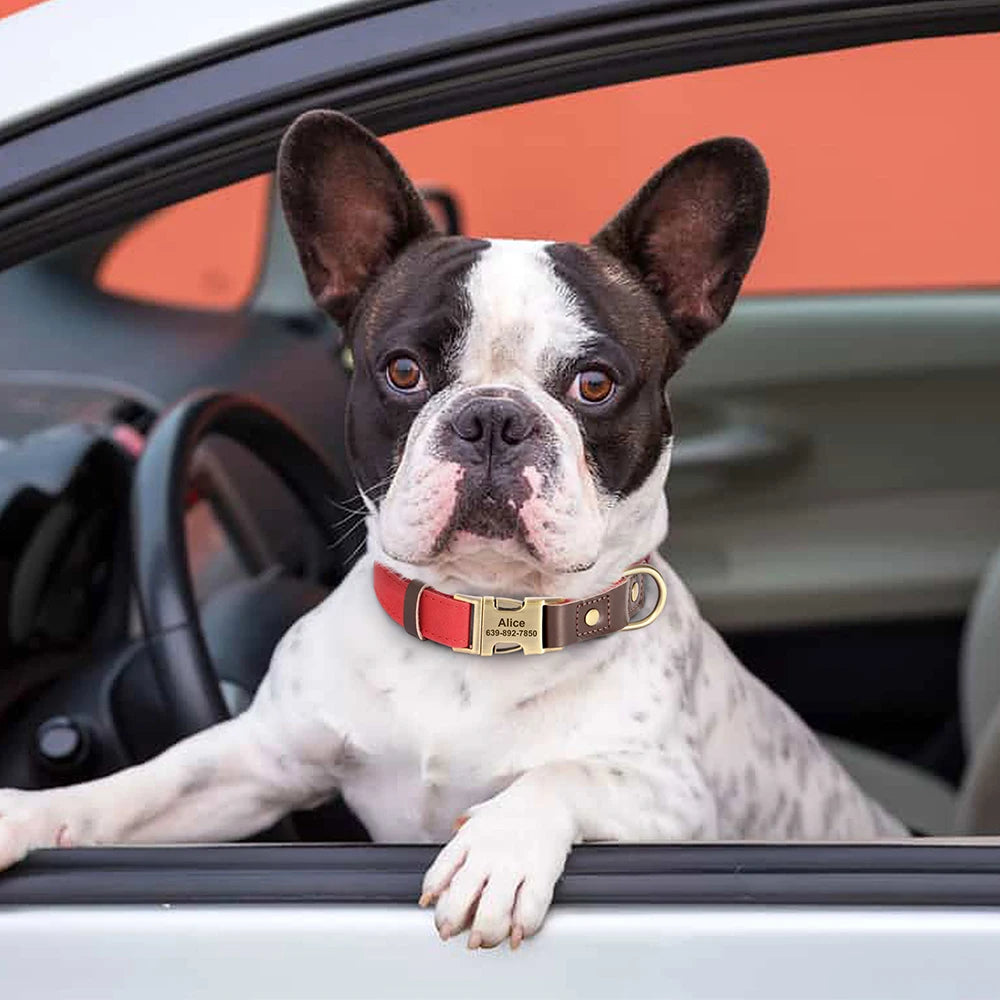 ID Paw Leather Personalized Leather Pet ID Tag
