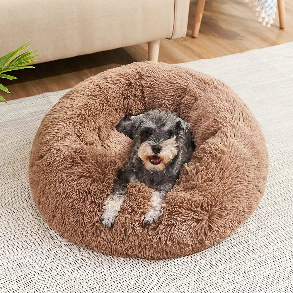 Dream Donut Bed
