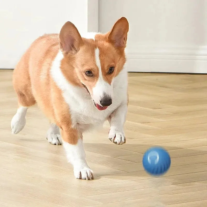Smart Bounce Toy Interactive Dog Toy for Active Pets