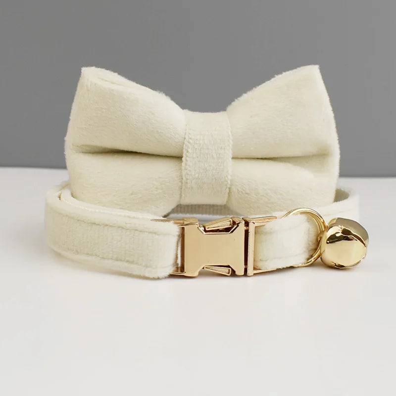 Stylish Bow Charm Collar Elegant Pet Collar for Dogs &amp; Cats