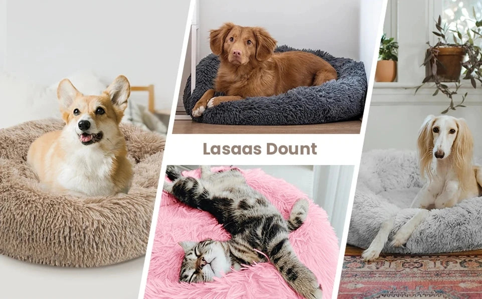 Dream Donut Bed