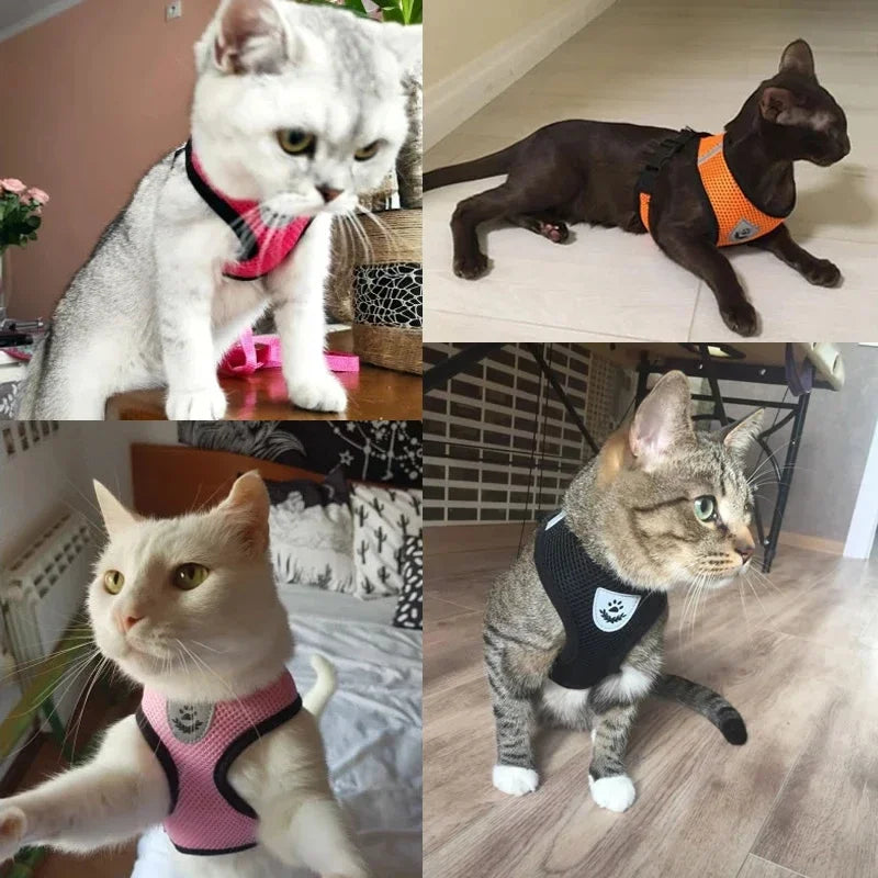 Kitty Pup Harness Adjustable Harness for Cats & Small Dogs
