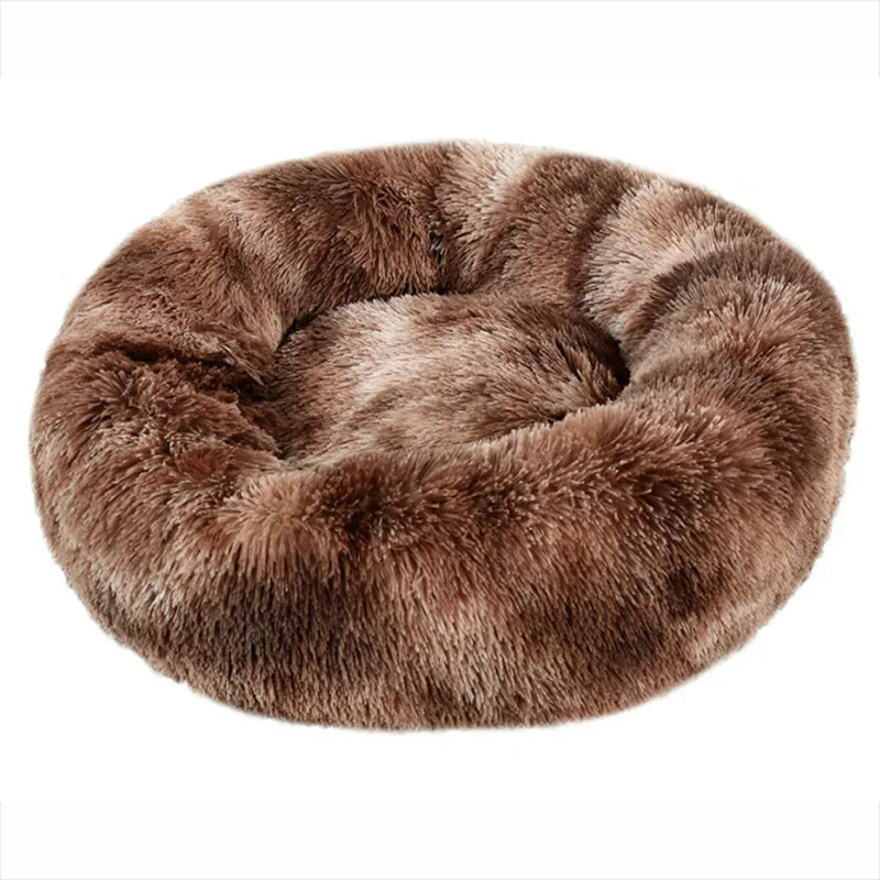 Dream Donut Bed