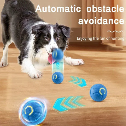 Smart Bounce Toy Interactive Dog Toy for Active Pets