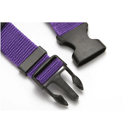 Dual Safe Car Lead Double-Protection Dog Travel Lead