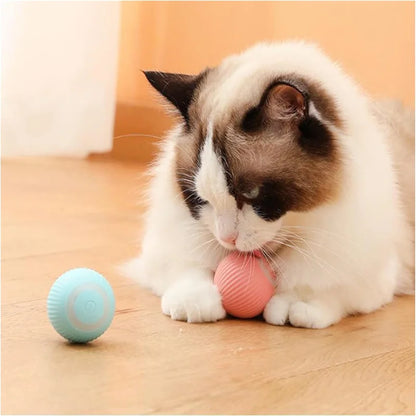 Smart Bounce Toy Interactive Dog Toy for Active Pets