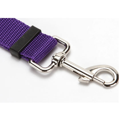 Dual Safe Car Lead Double-Protection Dog Travel Lead
