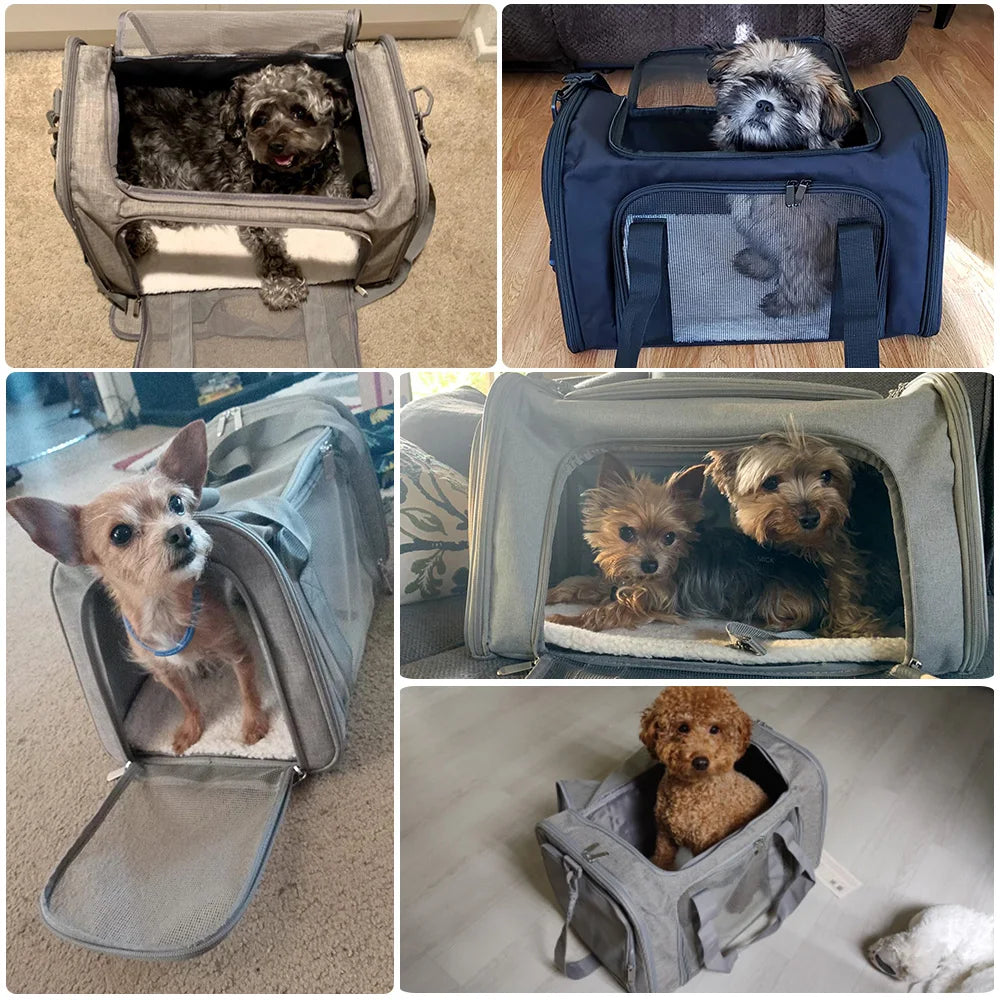 Cozy Cabin Pet Bag Comfortable Travel Carrier for Dogs &amp; Cats