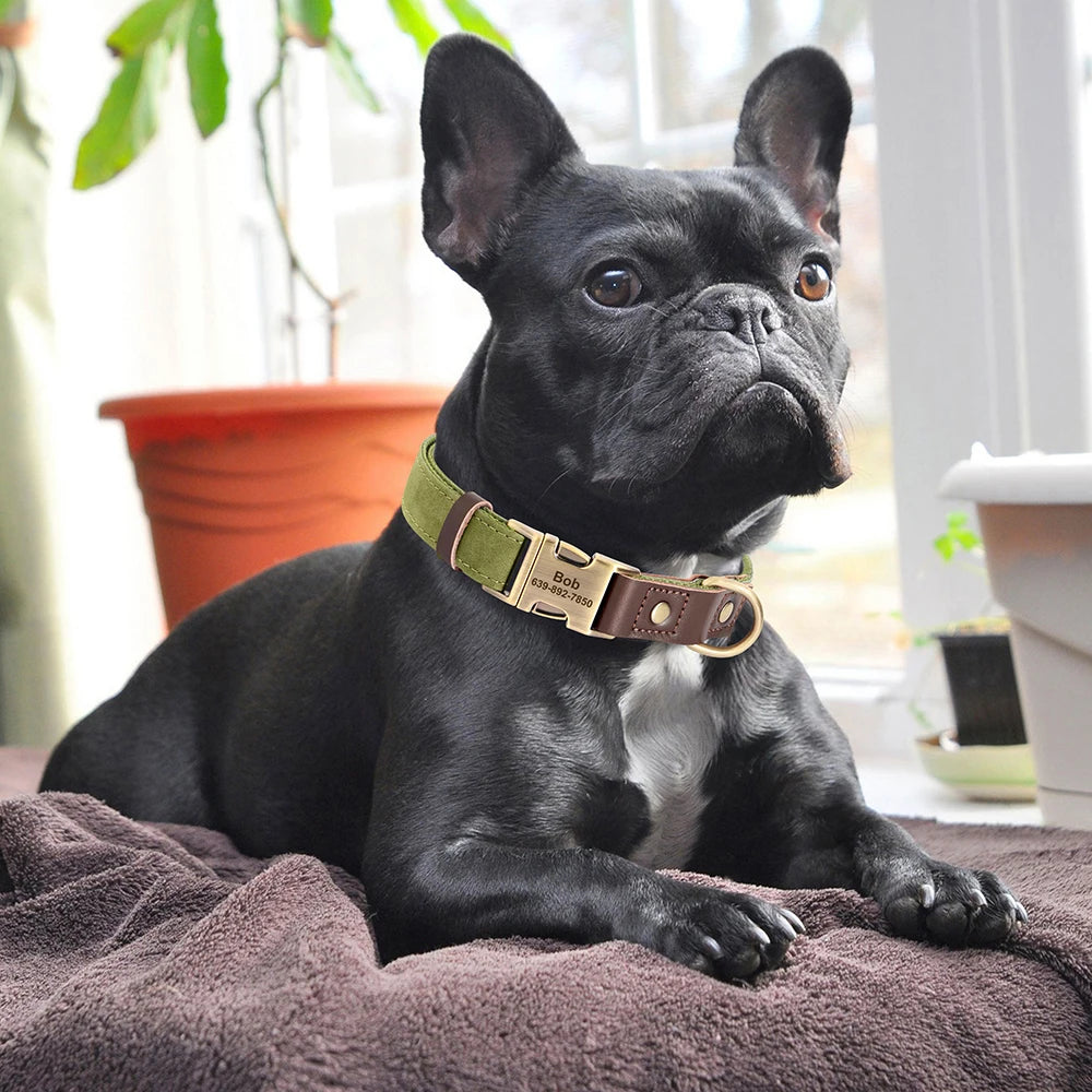 ID Paw Leather Personalized Leather Pet ID Tag