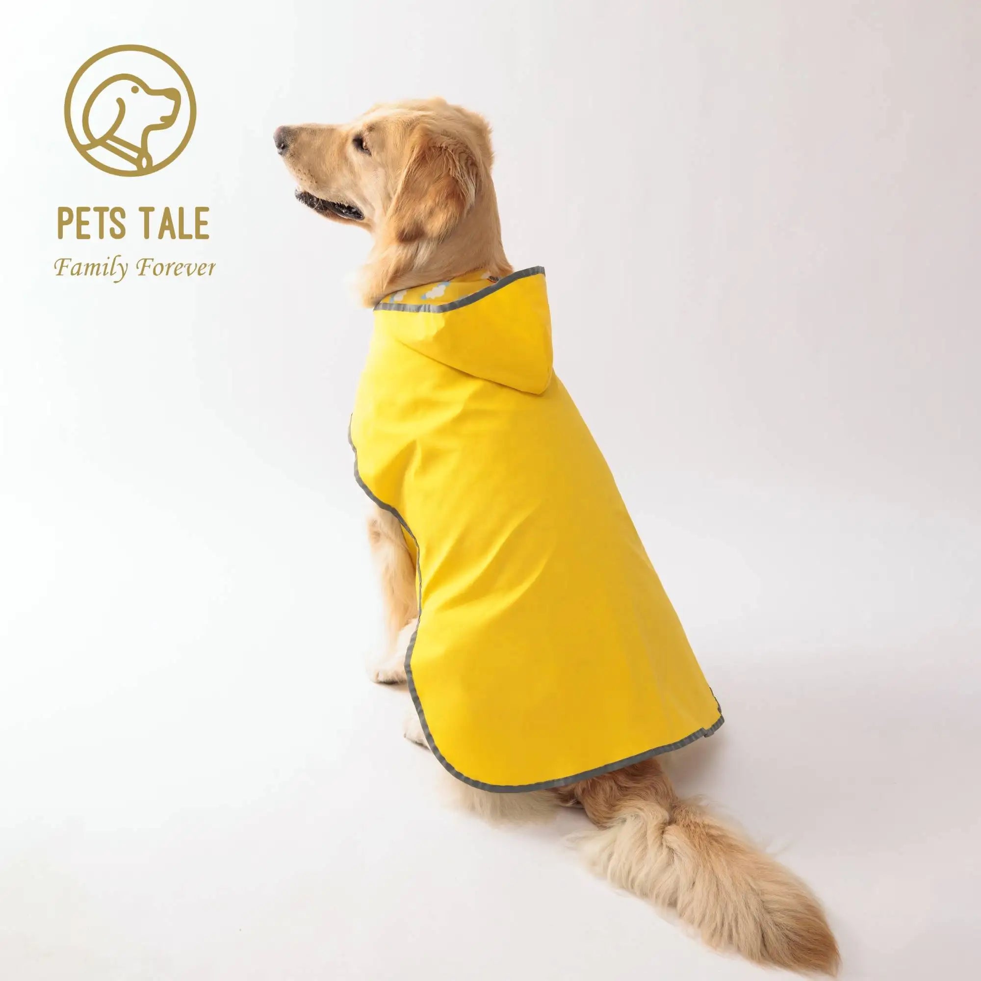 Dry Walk Dog Coat Dog Raincoat