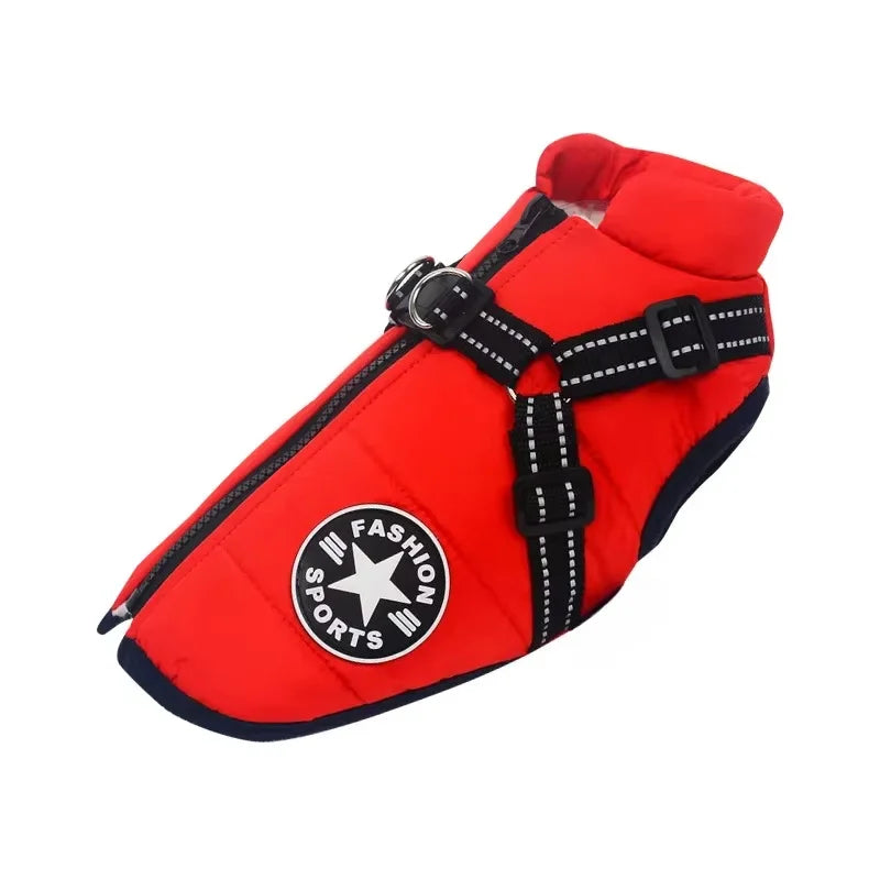 Warm Paw