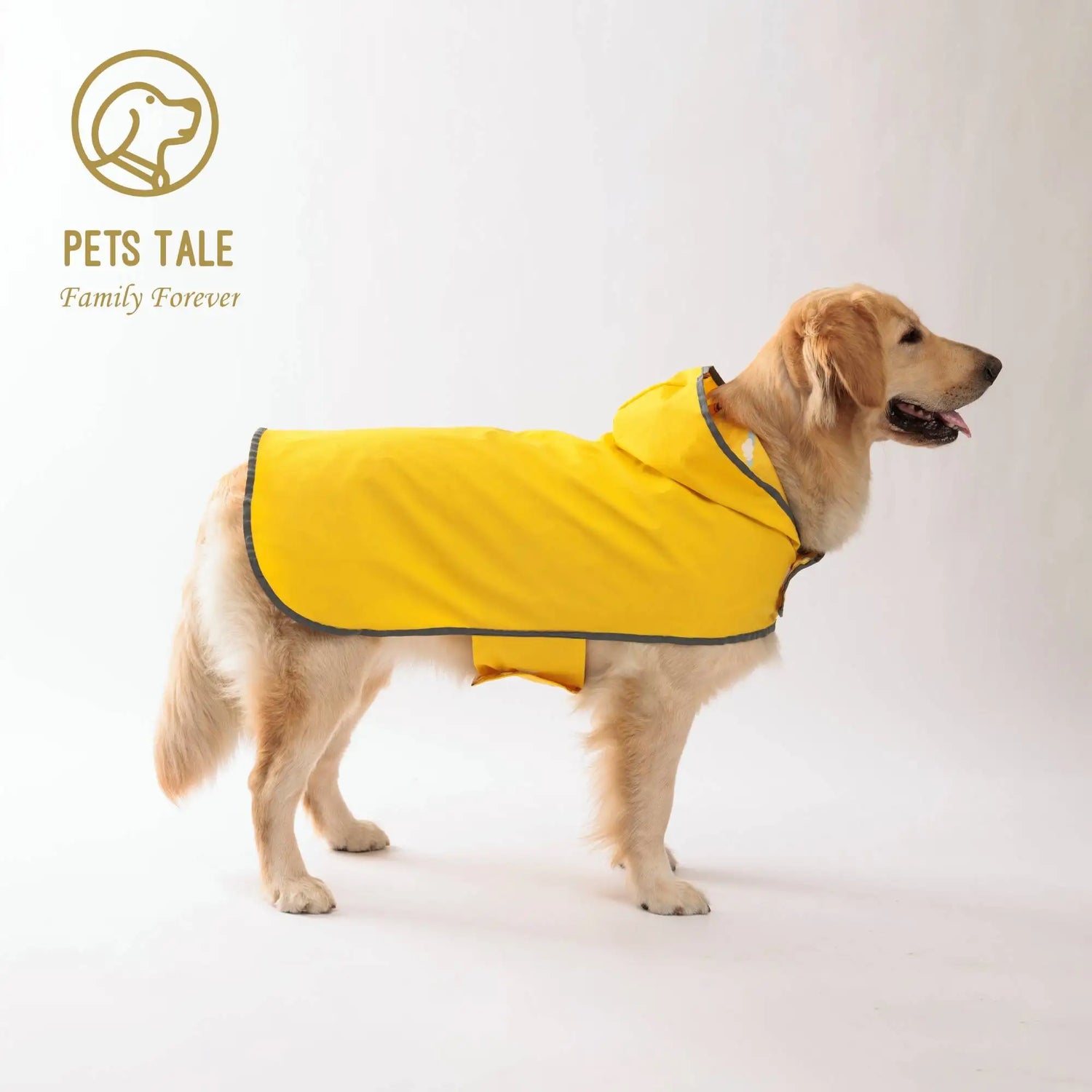 Dry Walk Dog Coat Dog Raincoat