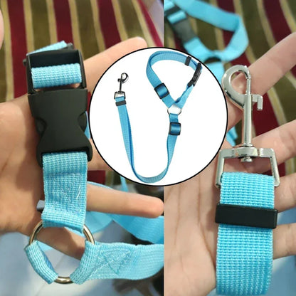 Dual Safe Car Lead Double-Protection Dog Travel Lead