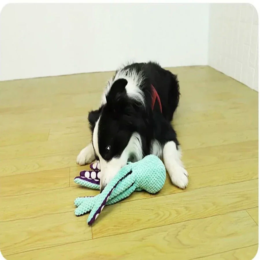 Paw Buddy Octo Plush Octopus Toy for Dogs &amp; Cats