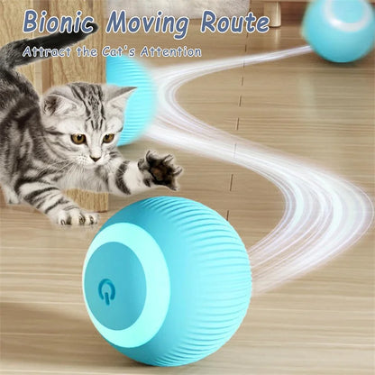 Smart Bounce Toy Interactive Dog Toy for Active Pets