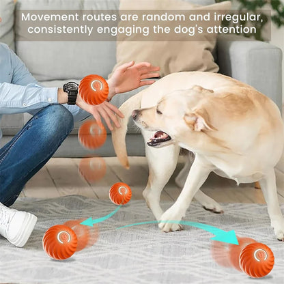 Smart Bounce Toy Interactive Dog Toy for Active Pets