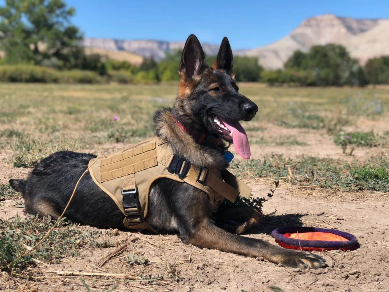 TactiPaw™ Harness

BattlePaw™ Harness

RuggedPaw™

ArmorPaw™ Harness

MissionPaw™