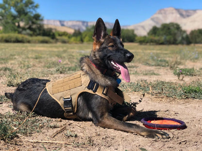 TactiPaw™ Harness

BattlePaw™ Harness

RuggedPaw™

ArmorPaw™ Harness

MissionPaw™
