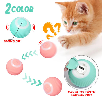 PawZoom/ FetchPro Ball/ TurboToss/ PawSpin/ ZoomPup/ PowerPaw Ball/ ActivePaws